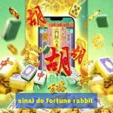 sinal do fortune rabbit