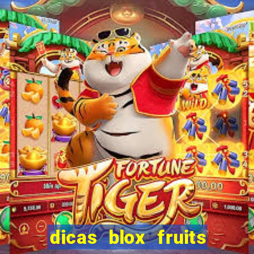 dicas blox fruits sea 1