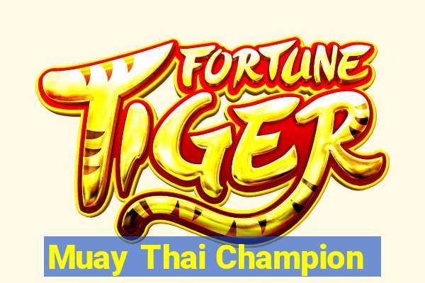 Muay Thai Champion