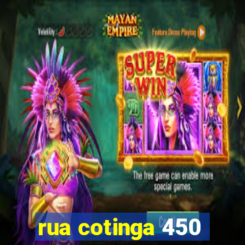 rua cotinga 450