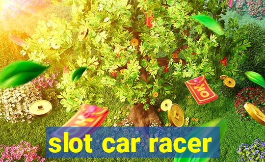 slot car racer