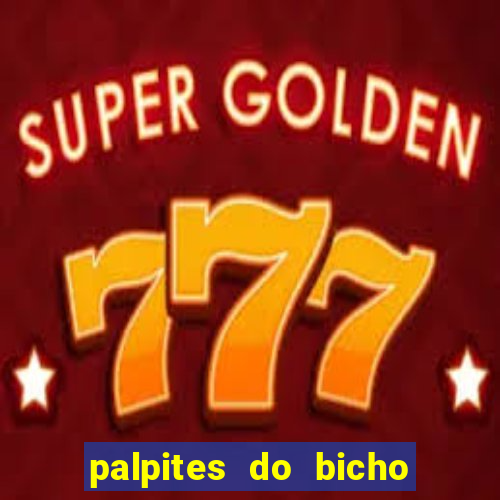 palpites do bicho no celular