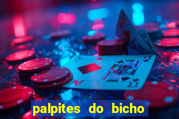 palpites do bicho no celular