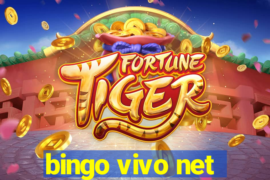 bingo vivo net