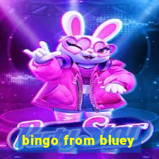 bingo from bluey