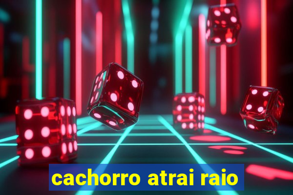 cachorro atrai raio