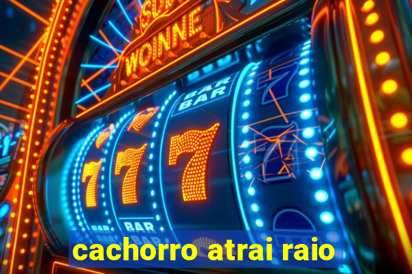 cachorro atrai raio