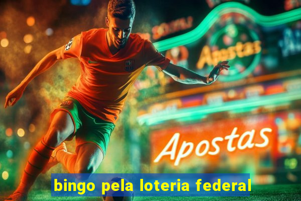 bingo pela loteria federal