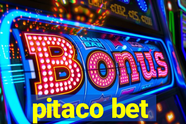 pitaco bet