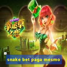 snake bet paga mesmo