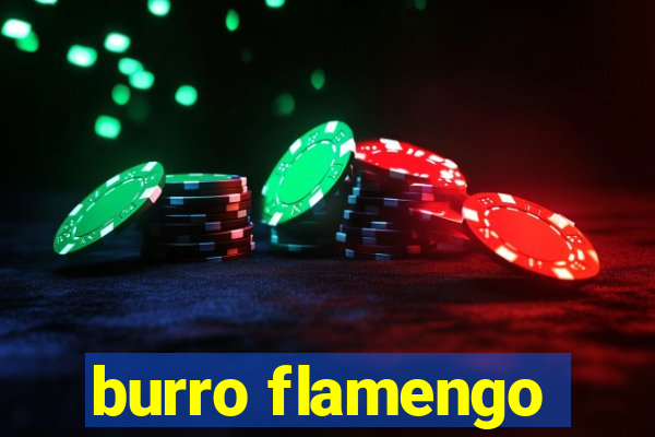 burro flamengo