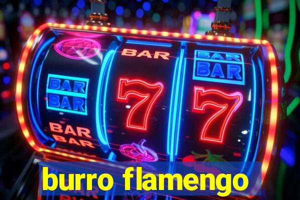 burro flamengo