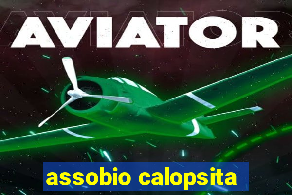 assobio calopsita