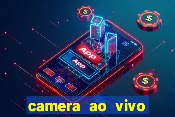 camera ao vivo beto carrero