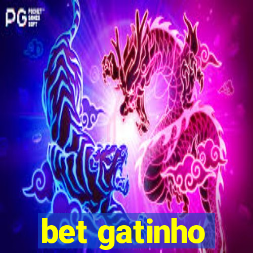 bet gatinho