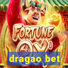 dragao bet