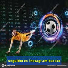 seguidores instagram barato