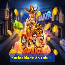 curiosidade do tuiui煤