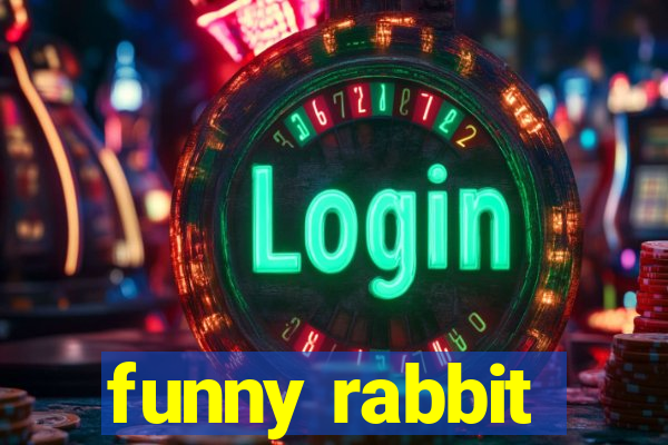 funny rabbit