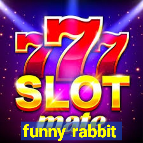 funny rabbit