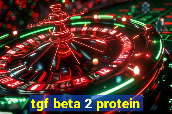 tgf beta 2 protein