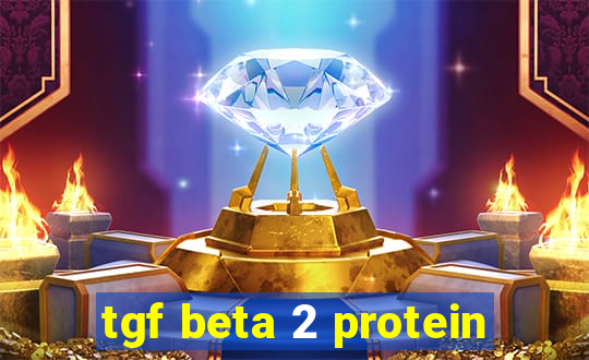 tgf beta 2 protein