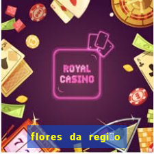 flores da regi茫o sul do brasil