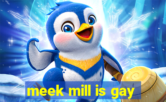 meek mill is gay