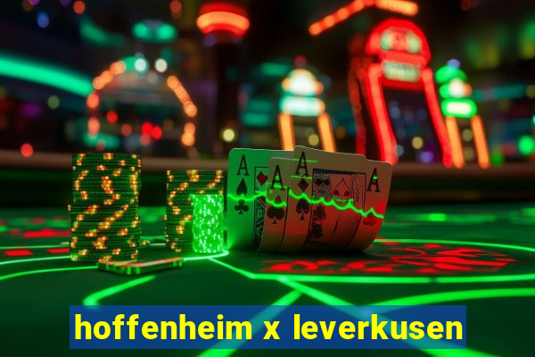 hoffenheim x leverkusen