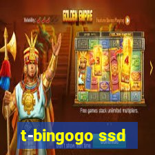 t-bingogo ssd