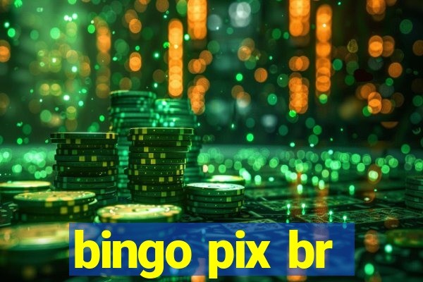 bingo pix br