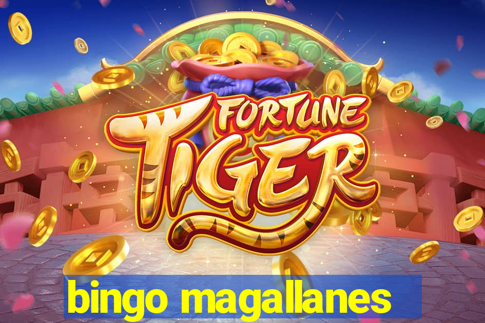 bingo magallanes