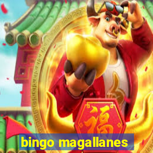 bingo magallanes