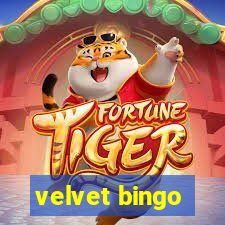 velvet bingo