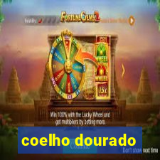 coelho dourado