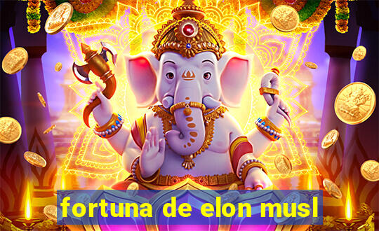 fortuna de elon musl