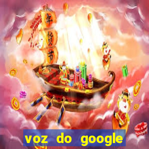 voz do google tradutor homem