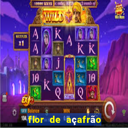 flor de açafrão stardew valley