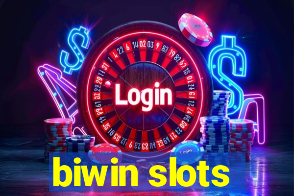 biwin slots