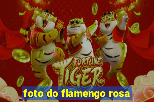 foto do flamengo rosa