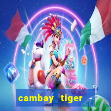 cambay tiger - seafood & meat