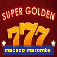 macaco maromba