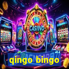 qingo bingo