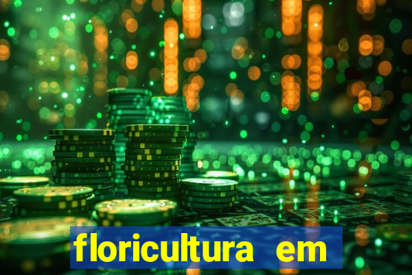 floricultura em juiz de fora