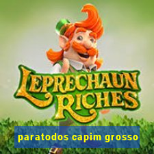 paratodos capim grosso