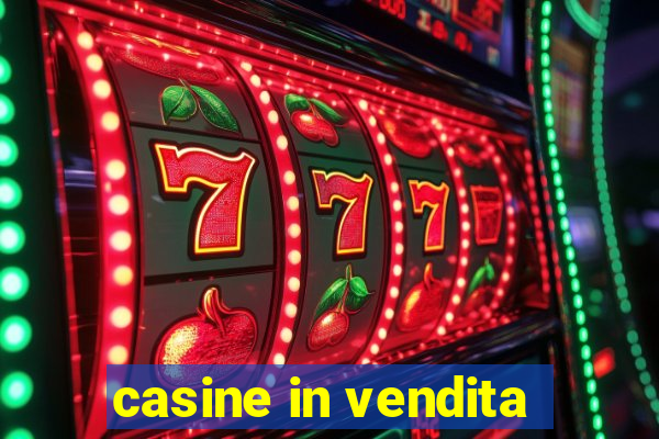 casine in vendita