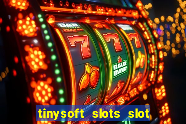 tinysoft slots slot machines & casino games