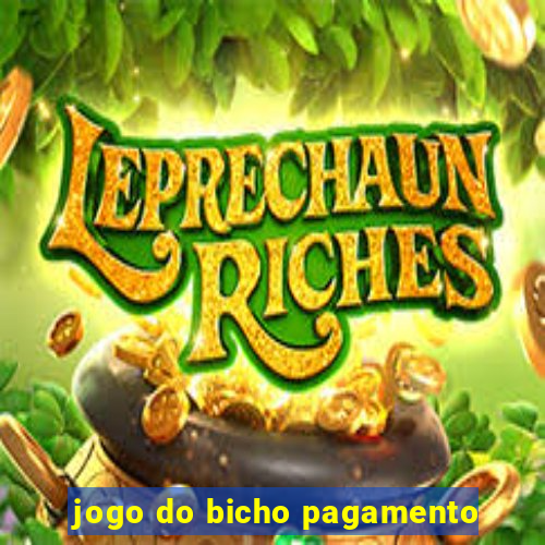 jogo do bicho pagamento