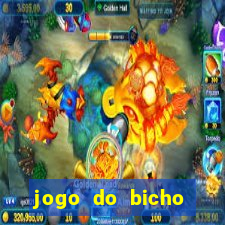 jogo do bicho raposa número