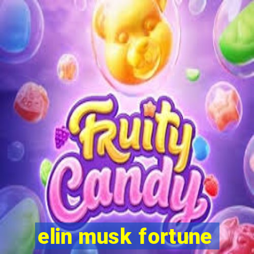 elin musk fortune